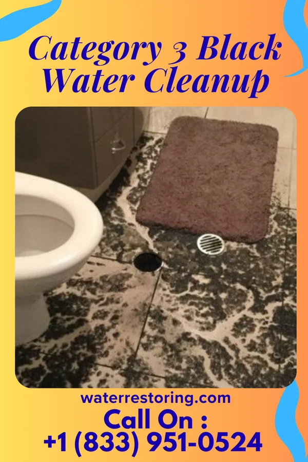 Category 3 Black Water Cleanup in Greentown, IN