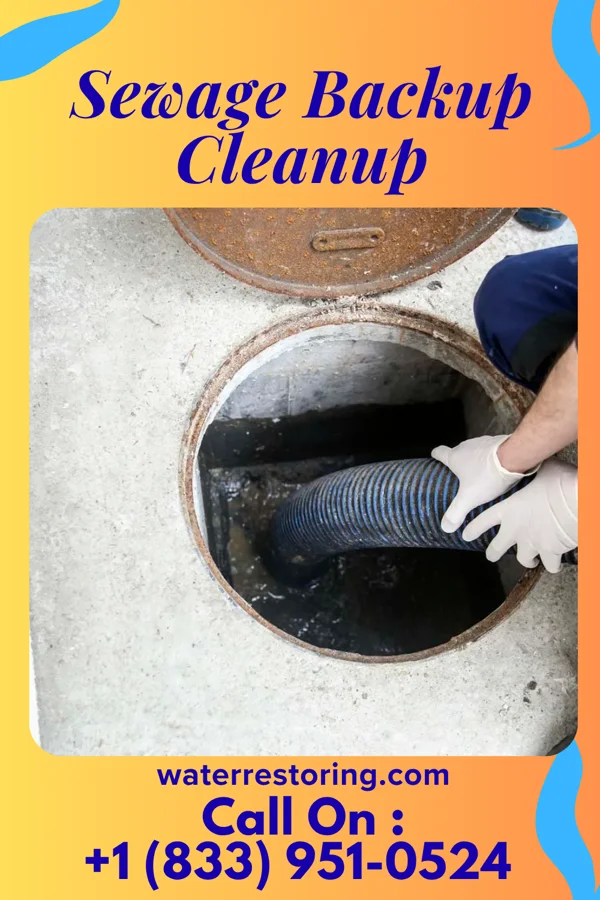 Sewage Backup Cleanup in Greentown, IN