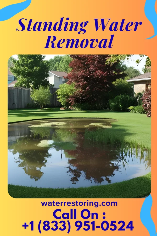 Standing Water Removal in Greentown, IN